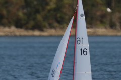 343061321_541221441555183_4781898276999112698_n
