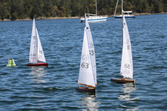 343081388_196086252768447_2755273498930826522_n