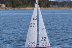 343846240_267197045728431_3357054040705899150_n