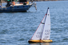 343936207_771932251250076_423164320458185694_n