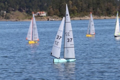 344190499_765058681917967_4425784784233088299_n