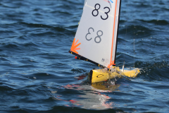 344393709_529923542461716_5154151656313960302_n