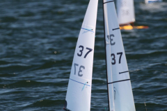 344535382_832159114996623_922216010170203277_n