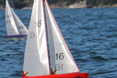 344535629_255723200272390_4678229327602040073_n