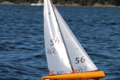 344579761_244774574732507_726390505481925254_n