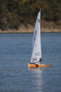 343726411_134975596143069_6794446330688473006_n