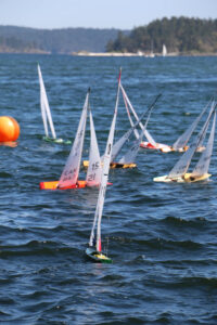 344402792_917982829458091_3139045928260374390_n