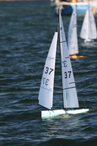 344535382_832159114996623_922216010170203277_n