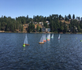 regatta2