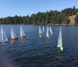 regatta6